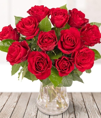 12 Red Roses