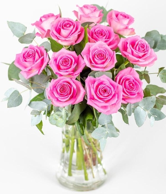 12 Pink Roses